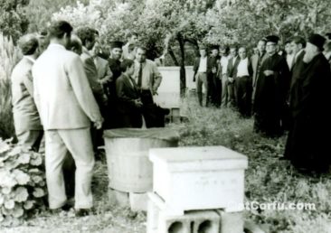 Benitses - Bienenzucht -1960