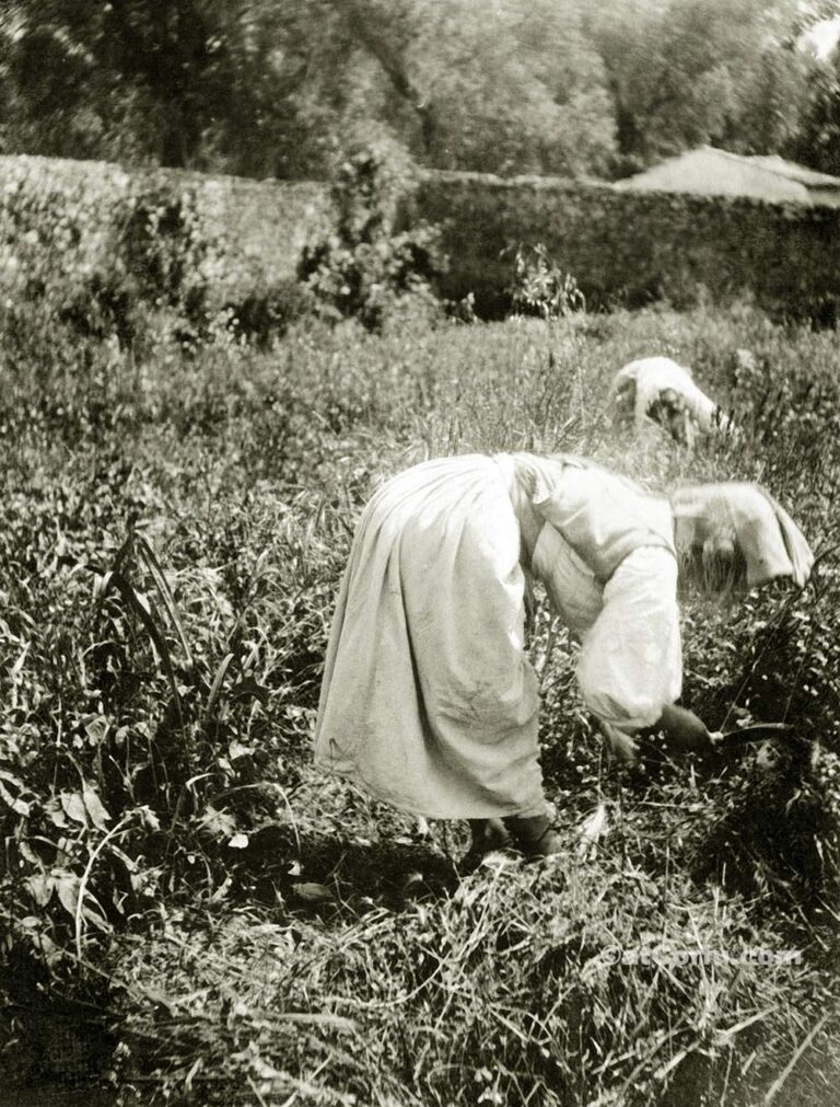 Korfu alte Fotos-arbeitende Frau auf dem Lande 1930