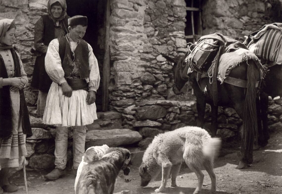Lagadia von Arkadia 1903