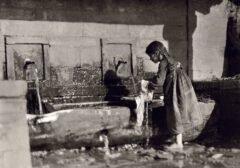  ein Mädchen in Metsovo 1913