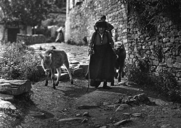 Zagori 1913