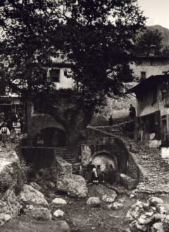 Paramythia 1913