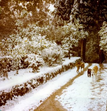 Benitses - Schnee im Winter 1979