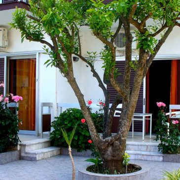 Hotel Benitses connection in Korfu