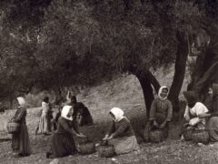 Preveli auf Kreta-1911