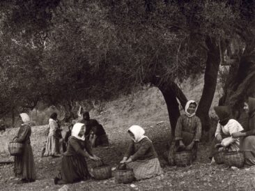 Preveli auf Kreta-1911