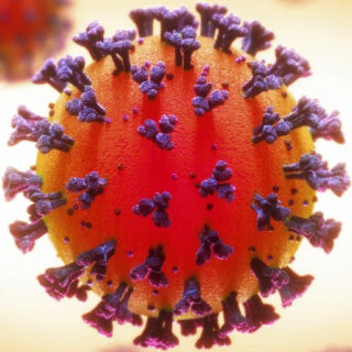 Ein Brief von Coronavirus an die Menschheit