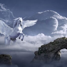 Pegasus