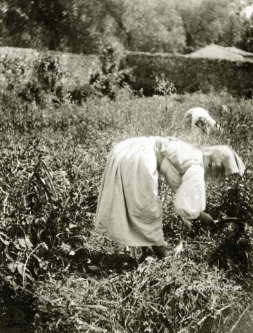 Παλιές φωτογραφίες της Κέρκυρας- εργαζόμενη στην ύπαιθρο το 1930