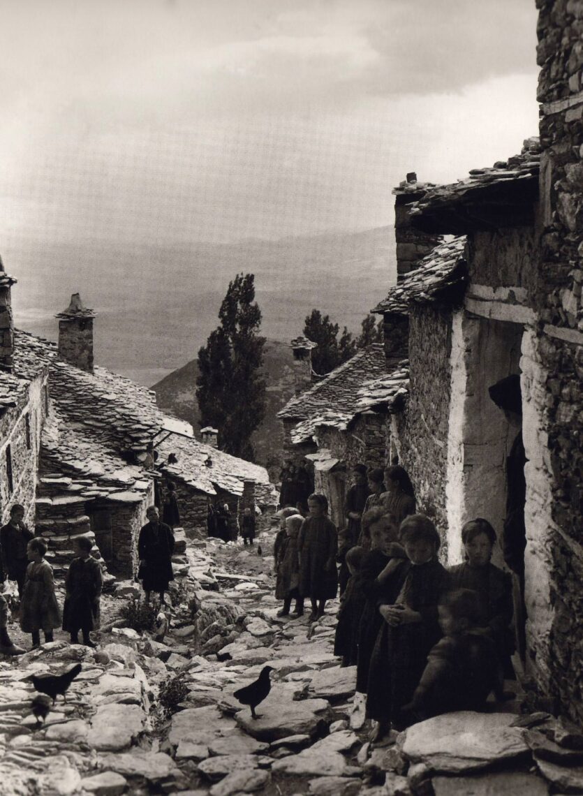 Κοκκινόπουλο στην Ελασσόνα