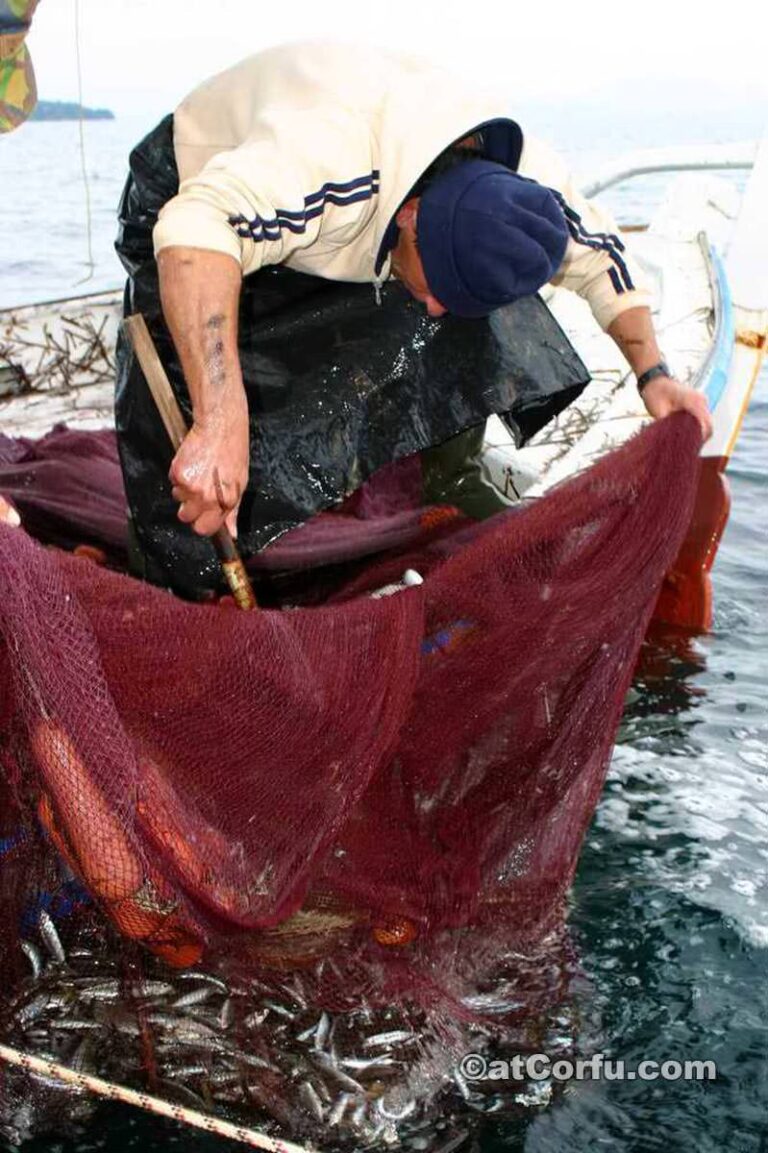 Μπενίτσες, Γιάννης Σπίνουλας(Κουκουρέττος)