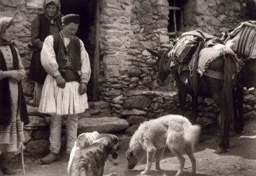 1903 στα Λαγκάδια Αρκαδίας