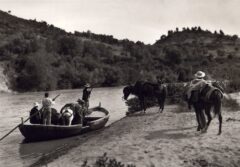 Στον Αλφειό ποταμό-1903