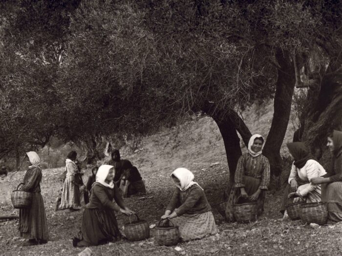 Πρέβελη στην Κρήτη-1911