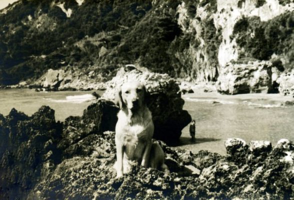 Μυρτιώτισσα παραλία Κέρκυρα-1950