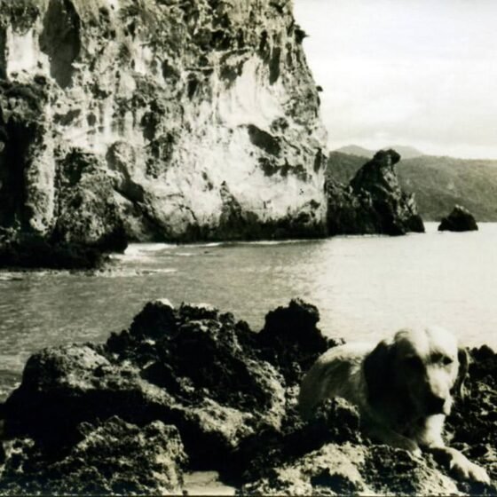 Μυρτιώτισσα παραλία Κέρκυρα-1950