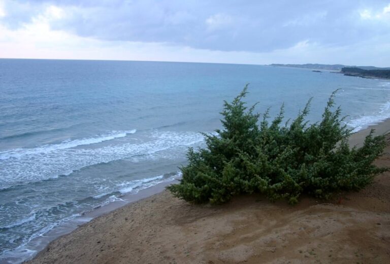 Chalikounas Beach in the winter