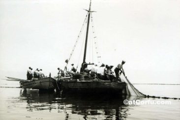 Fishing 1950