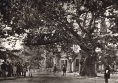 Athens Kifisia 1920