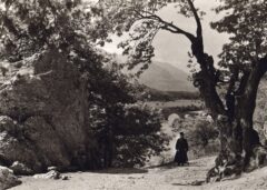 Konitsa Mesogefyra 1913