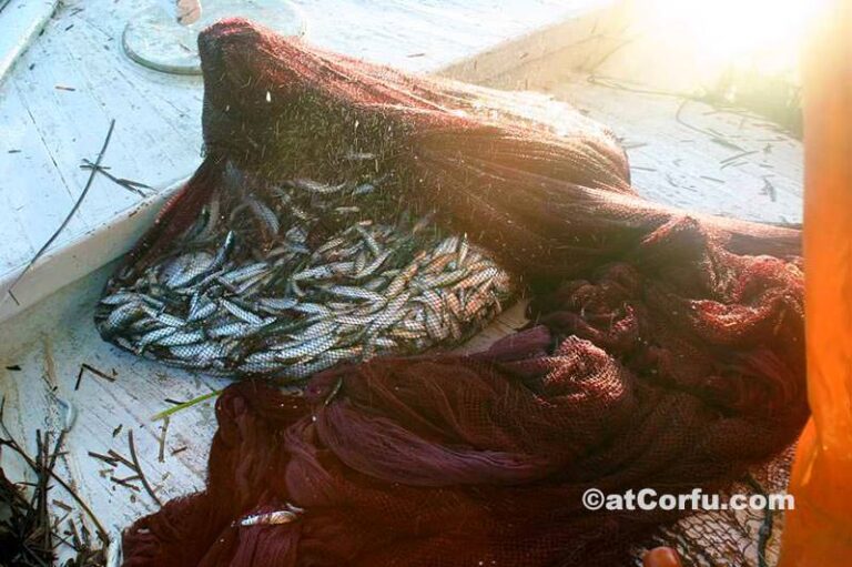 Fishing in Benitses