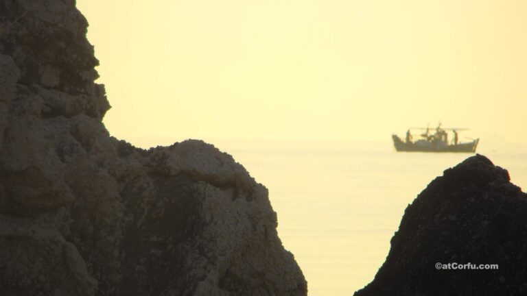 Spy from the rocks