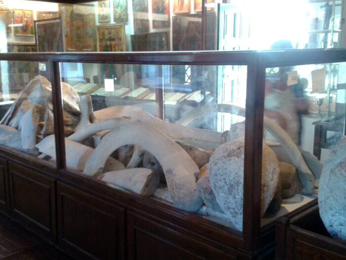 Paleokastritsa monastery museum whith whale bones