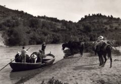 Alfeios river 1903