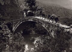Keramitsa Thesprotia 1913