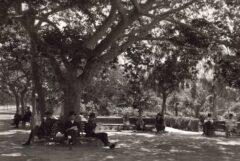 Zapio gardens in Athens 1920
