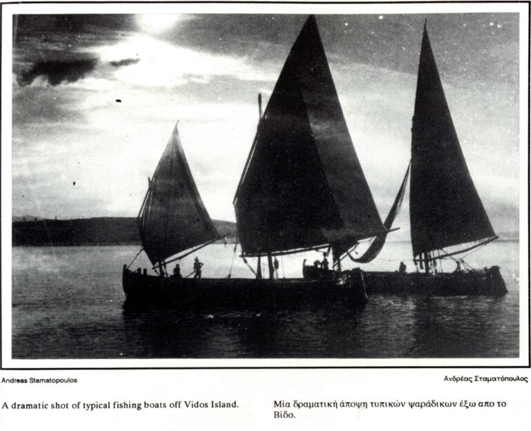 Fishboats out of Vido
