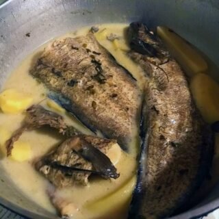 Bianco cooked fish