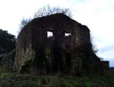 Old house ruins