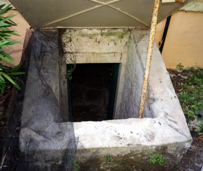 Sagrado entrance in Rivellis mansion