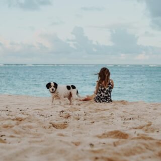 A Girl with a dog on the Beach