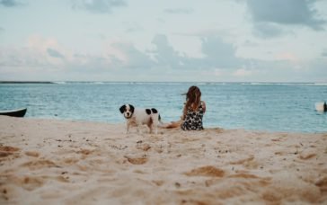 With a Dog on the Beach