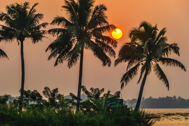 At the backwaters - Kerala South India