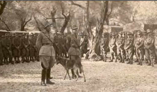 Divisione Acqui in Benitses-1942