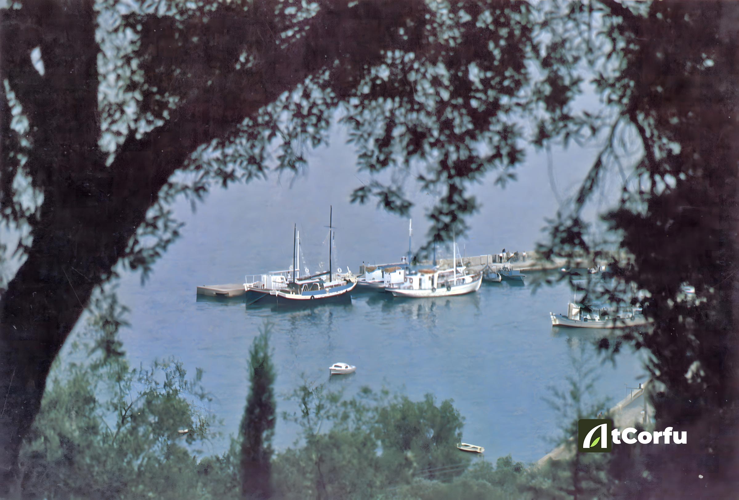 laopetra view of old dock