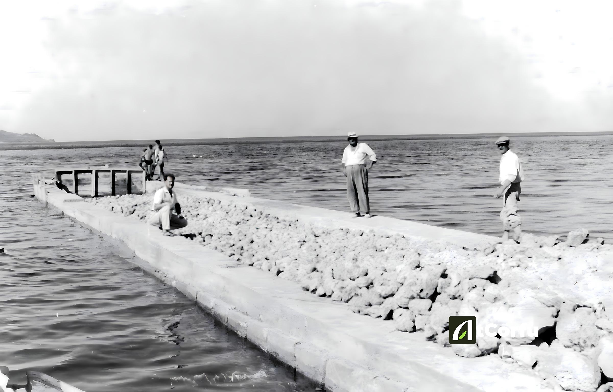 old dock constraction 4